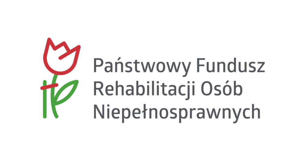 PFRON_wersja_podstawowa_RGB-01 (3)
